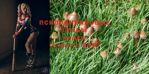 гашиш Аркадак