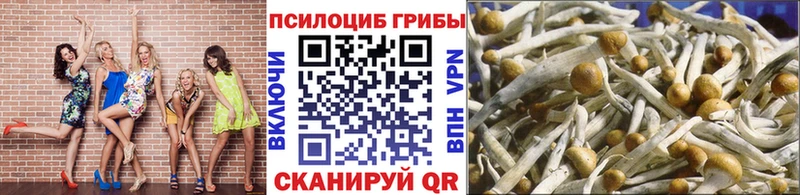 Галлюциногенные грибы Magic Shrooms  купить  цена  OMG ONION  Вилюйск 